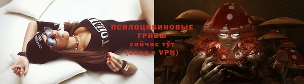 гидра Беломорск
