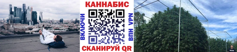 Бошки марихуана марихуана  Бор 